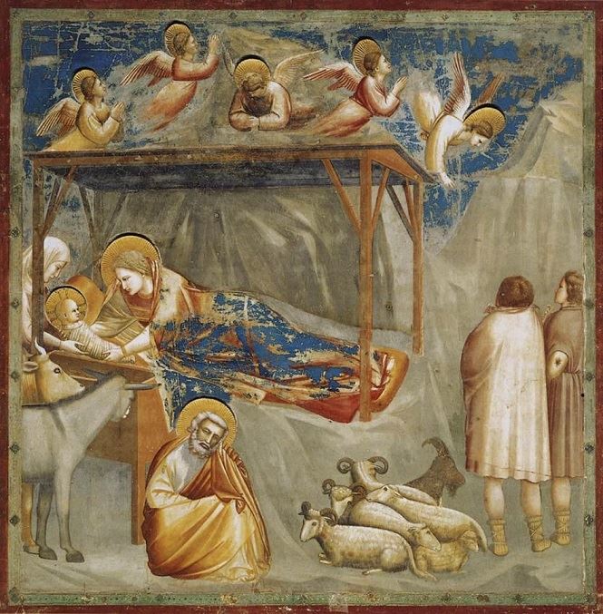 Natività Giotto